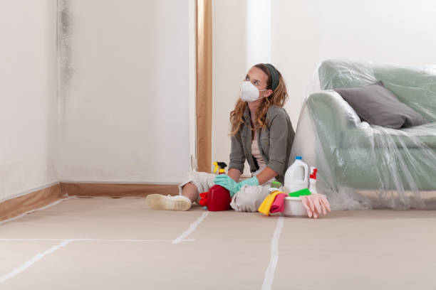 Reliable Mold Removal contractor in East Hanover, NJ by WQB Mold Removal